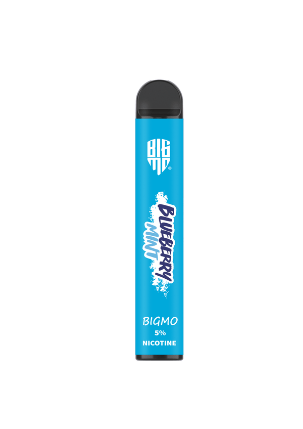 Bigmo S. Deluxe - Blueberry Mint 2800 Puffs